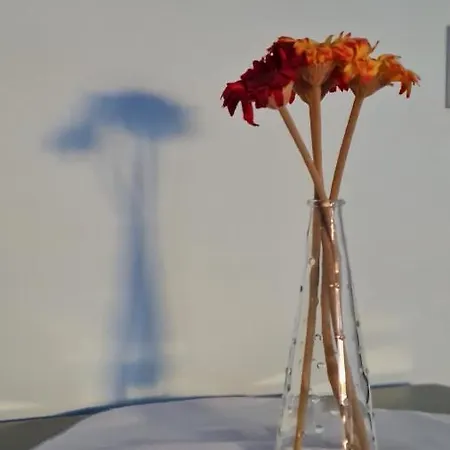 Reina, Apartman Kusadası